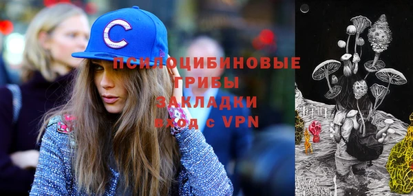молекула духа Зерноград