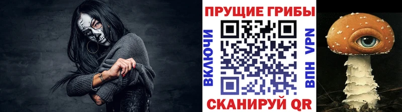 как найти закладки  Киселёвск  Псилоцибиновые грибы мухоморы 